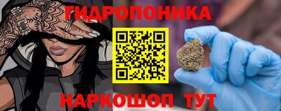 крисы Северобайкальск