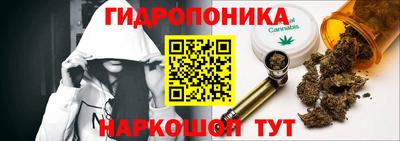 крисы Северобайкальск