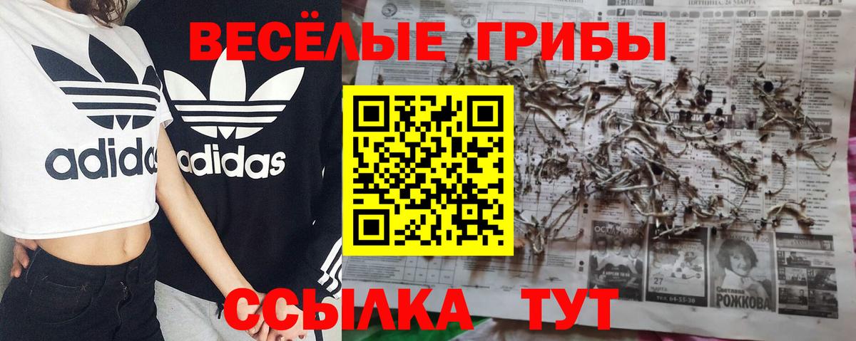 Галлюциногенные грибы мицелий Нарткала